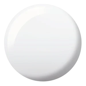 Snowglobe DIVA #157